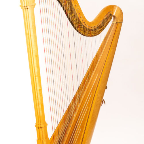 DEC 19 · St Matthias @ Noon